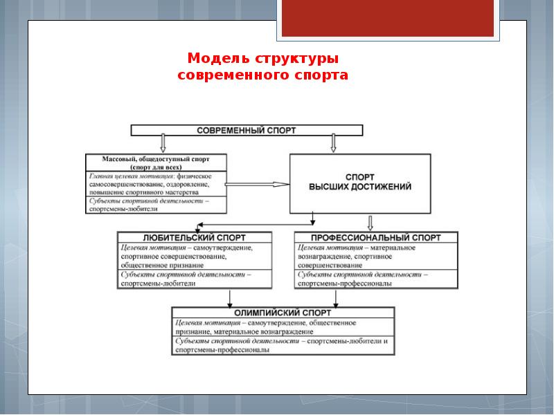 Высокая структура. Модель структуры современного спорта. Структура современного спорта высших достижений РФ. Структура спортивных достижений. Структура Спарты.