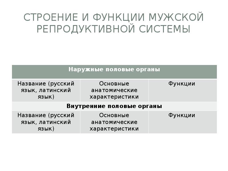 Особенности мужского и женского организмов