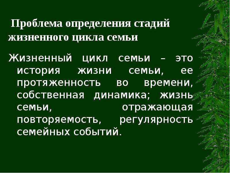 Жизненный цикл семьи презентация