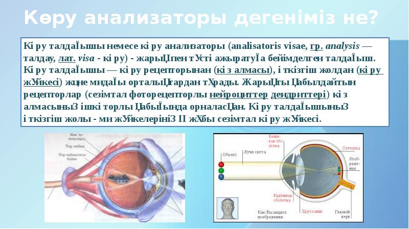 Көз гигиенасы презентация