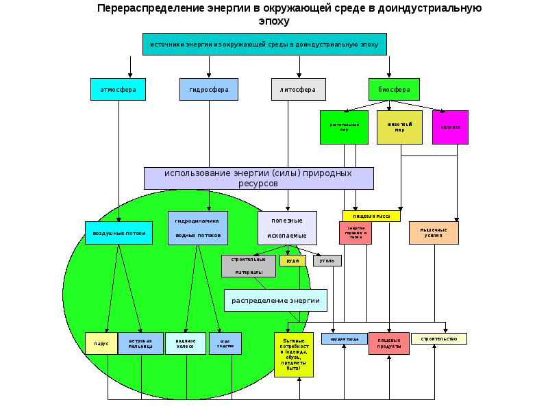 Животный мир в техносфере 5 класс урок технологии презентация