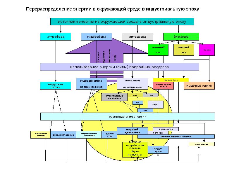 Животный мир в техносфере 5 класс урок технологии презентация