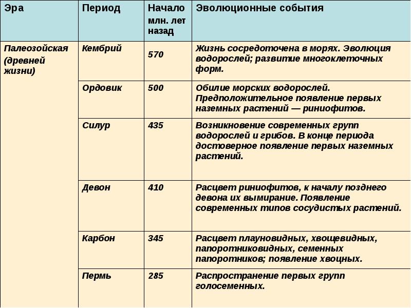 Презентация развитие жизни на земле 11 класс биология