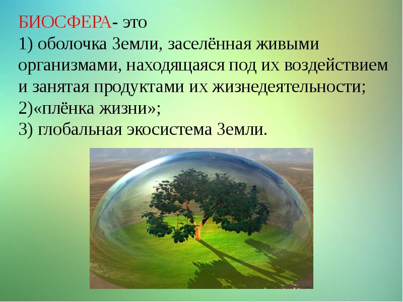 Воздействие человека на природу земли 5 класс презентация по географии