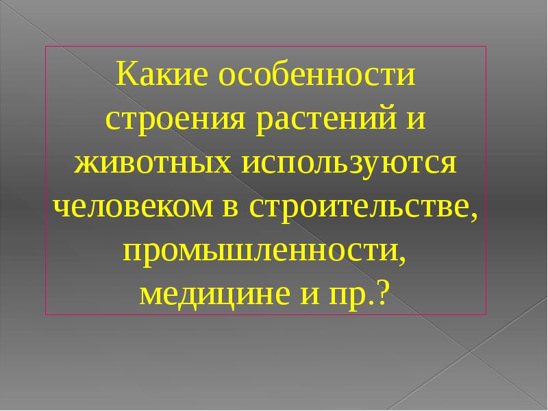 Бионика как одно из направлений биологии и кибернетики презентация