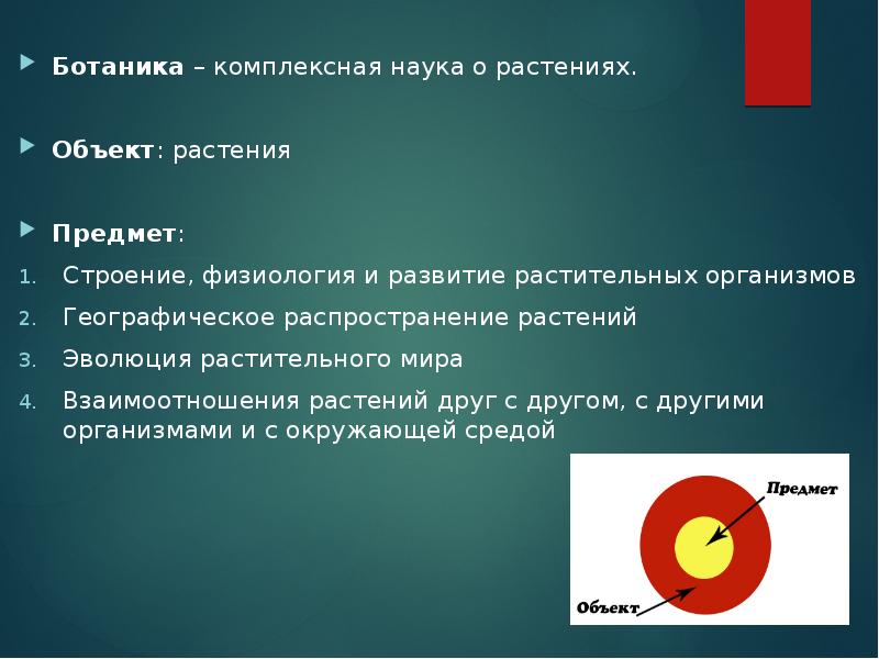 Внутреннее строение предмета