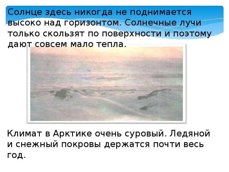 Здесь солнце. Солнце в Арктике никогда не поднимается высоко над. Солнце в Арктике никогда не поднимается высоко над чем. Зона арктических пустынь 4 класс. Природные зоны солнце никогда не поднимается высоко над горизонтом.