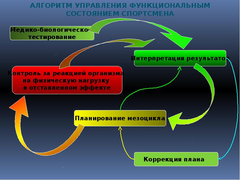 Управление процессом подготовки спортсменов презентация