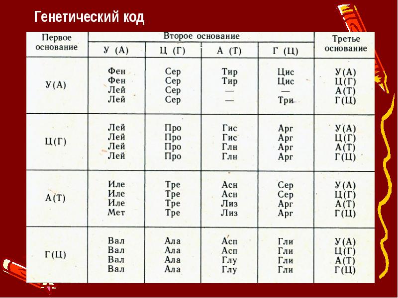 Таблица генетического кода аминокислот