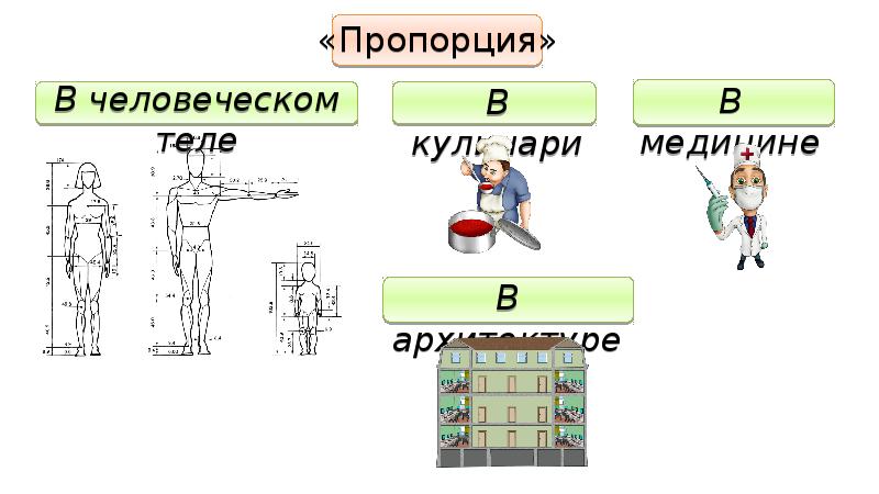 Пропорции в нашей жизни презентация