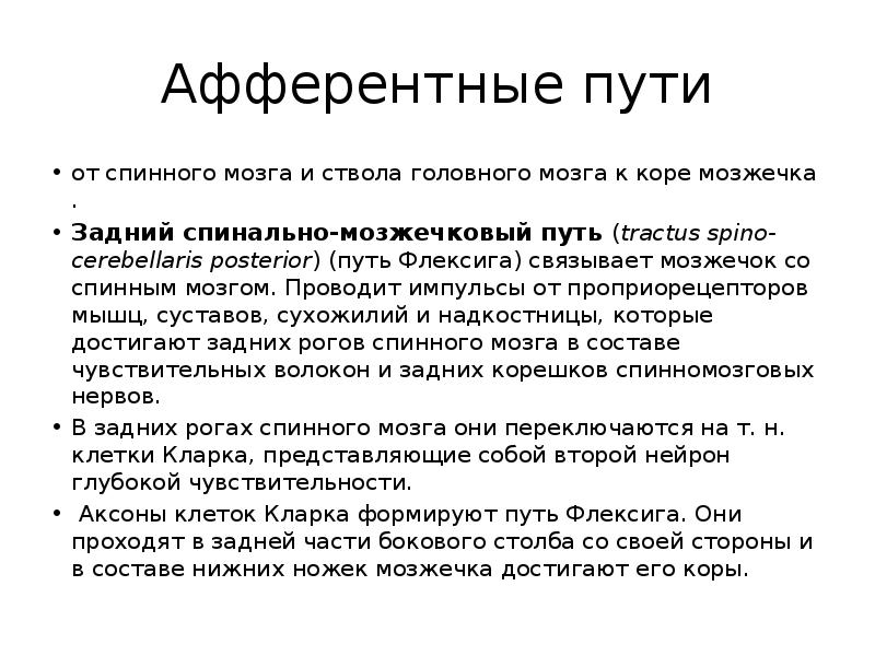 Афферентные пути
от спинного мозга и ствола головного мозга к коре Афферентные пути
от спинного мозга и ствола головного мозга к коре