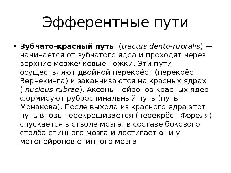 Эфферентные пути
Зубчато-красный путь (tractus dento-rubralis) — начинается от зубчатого ядра и Эфферентные пути
Зубчато-красный путь (tractus dento-rubralis) — начинается от зубчатого ядра и