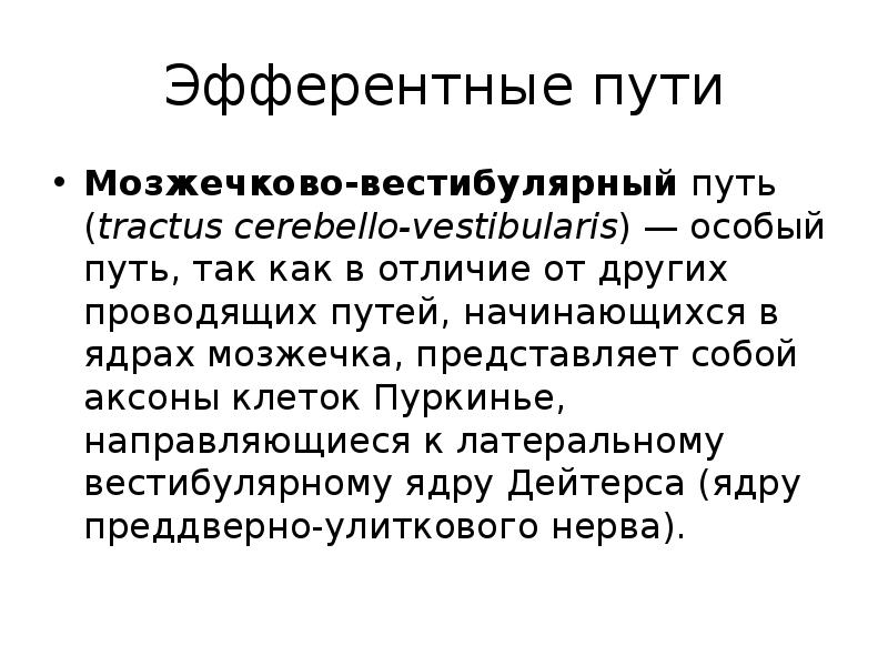 Вестибуло мозжечковый синдром. Вестибуло спинатльный путь начинается.