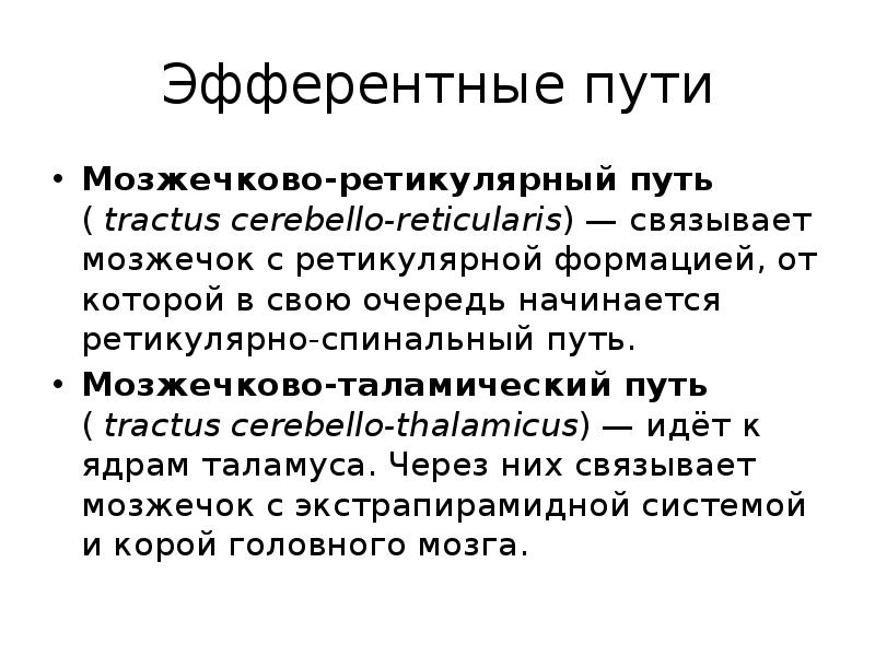 Эфферентные пути
Мозжечково-ретикулярный путь ( tractus cerebello-reticularis) — связывает мозжечок с ретикулярной формацией, Эфферентные пути
Мозжечково-ретикулярный путь ( tractus cerebello-reticularis) — связывает мозжечок с ретикулярной формацией,