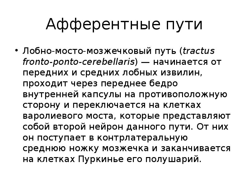 Афферентные пути
Лобно-мосто-мозжечковый путь (tractus fronto-ponto-cerebellaris) — начинается от передних и средних Афферентные пути
Лобно-мосто-мозжечковый путь (tractus fronto-ponto-cerebellaris) — начинается от передних и средних