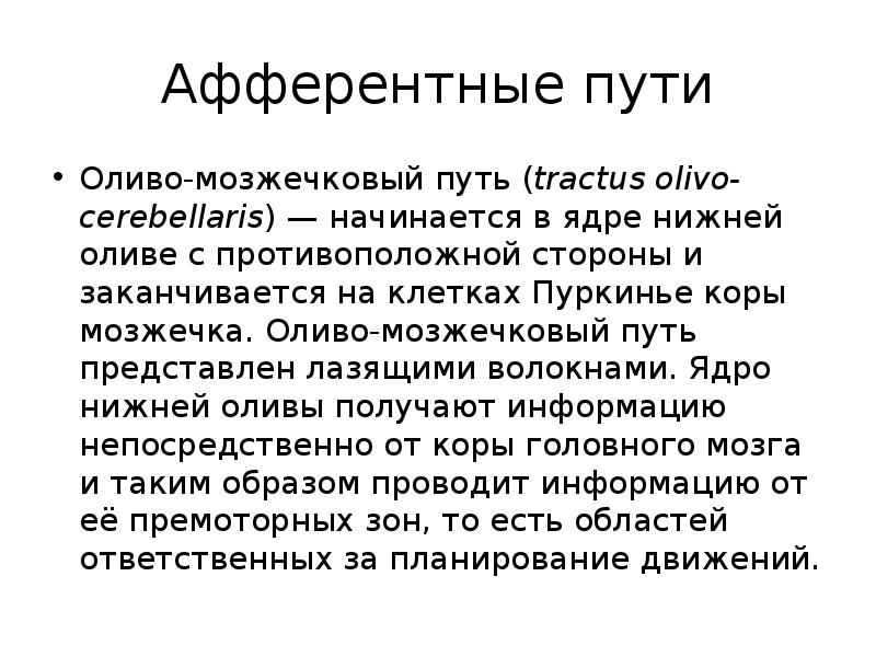 Афферентные пути
Оливо-мозжечковый путь (tractus olivo-cerebellaris) — начинается в ядре нижней оливе Афферентные пути
Оливо-мозжечковый путь (tractus olivo-cerebellaris) — начинается в ядре нижней оливе