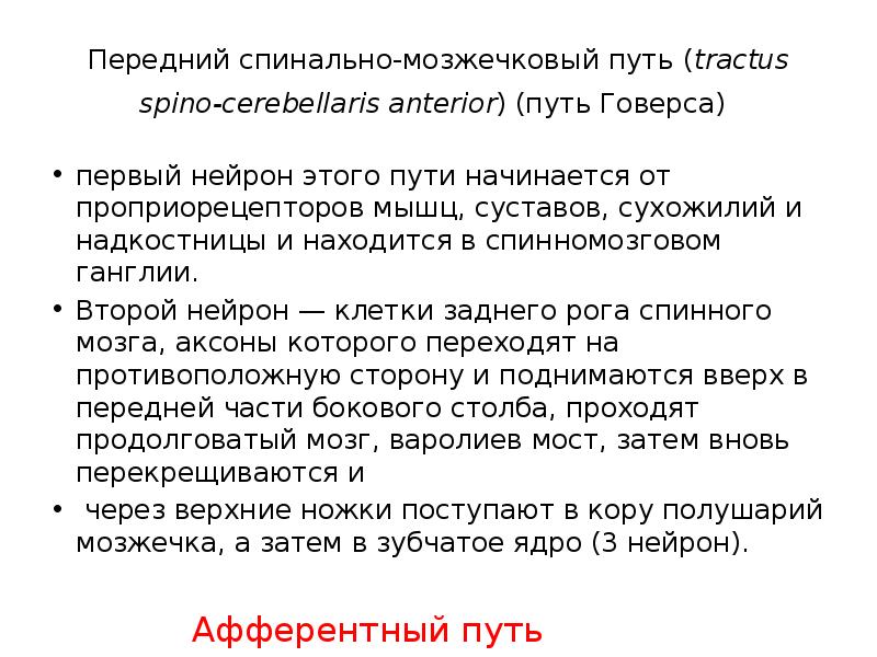 Передний спинально-мозжечковый путь (tractus spino-cerebellaris anterior) (путь Говерса)
первый нейрон этого Передний спинально-мозжечковый путь (tractus spino-cerebellaris anterior) (путь Говерса)
первый нейрон этого