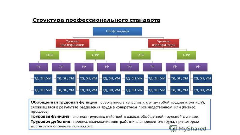 Профессиональная структура. Изменения профессиональной структуры в россии. Презентация изменение профессиональной структуры в нашем регионе. Профессионально-квалификационная структура. Изменения профессиональной структуры в россии.