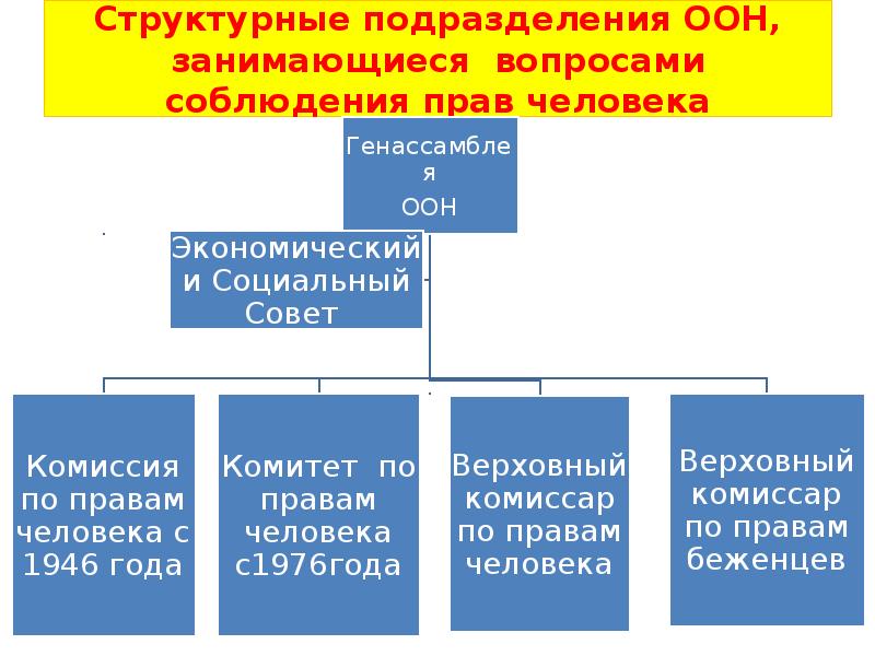 Образец жалобы в оон по правам человека в