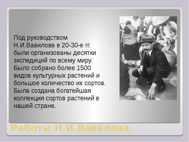 Работа н н. Работы н и Вавилова. Важнейшей научной работой н.и.Вавилова была работа о:. Дипломная работа н.и.Вавилова.