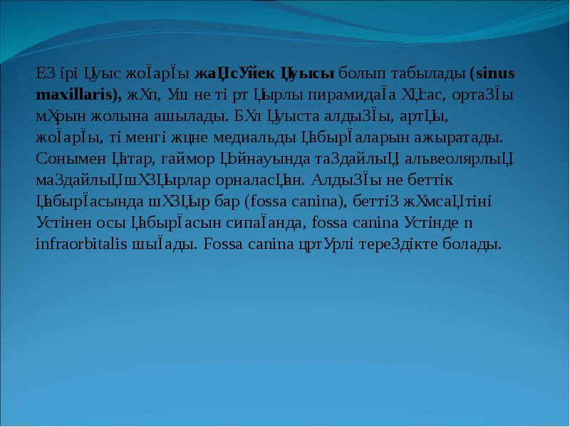 Ең ірі қуыс жоғарғы жақ сүйек қуысы болып табылады (sinus maxillaris), Ең ірі қуыс жоғарғы жақ сүйек қуысы болып табылады (sinus maxillaris),