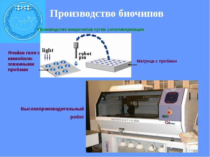 Фармакогенетика и фармакогеномика презентация