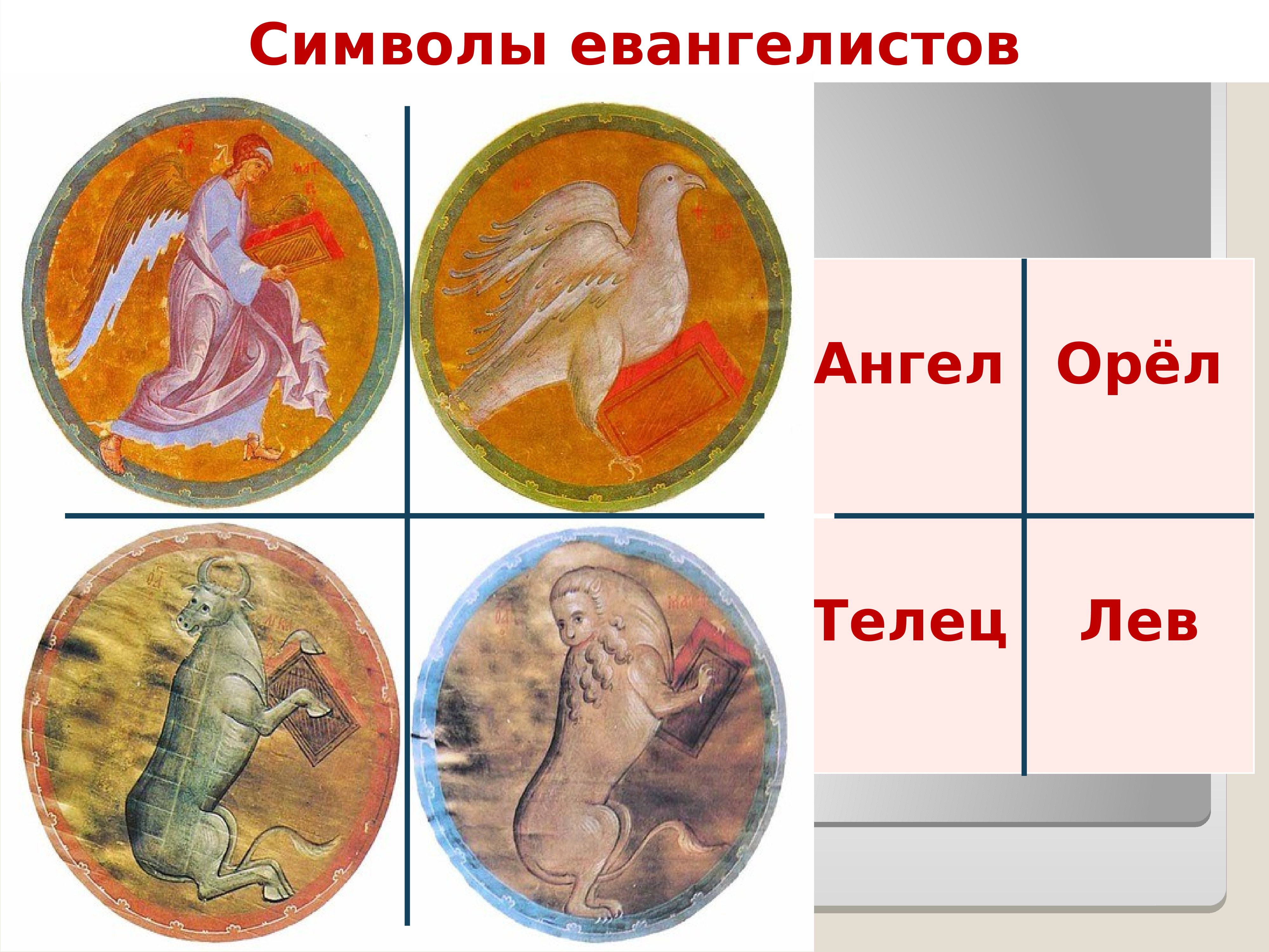 четыре символа евангелистов картинки