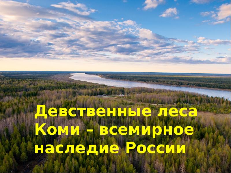 Объект природного наследия россии сообщение. Леса Коми ЮНЕСКО. Девственные леса Коми (1995). Всемирное наследие девственные леса Коми. Девственные леса Коми презентация.