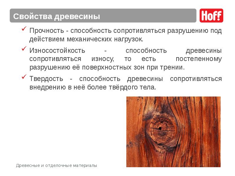 Технологии свойства древесины. Свойства древесины. Механические св ва древесины. Истираемость древесины. Характеристика древесины.