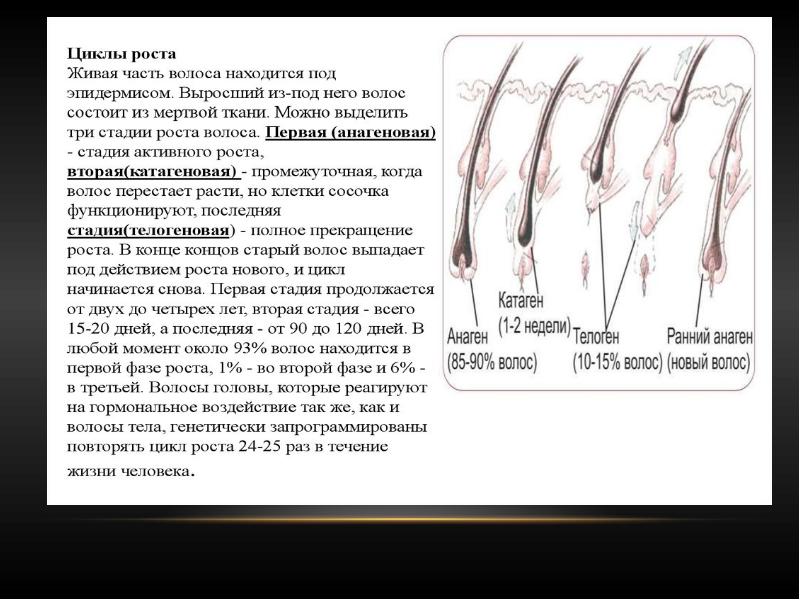 Волосы и ногти презентация 3 класс