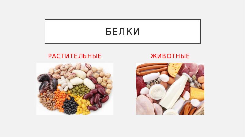 Белки в продуктах презентация