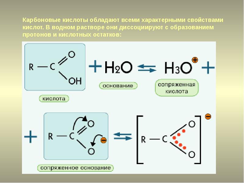 Карбоновые кислоты презентация 10 класс базовый уровень