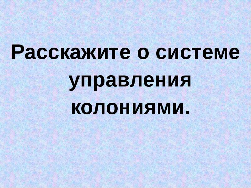 Схема управления колониями в северной америке история 8 класс