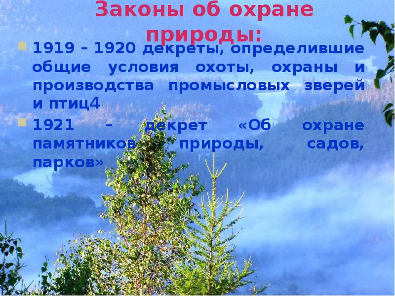 Общие законы природы. Указ об охране природы. Декрет об охране памятников природы садов и парков 1921. Законы охраняющие природу. Законы об охране природы.