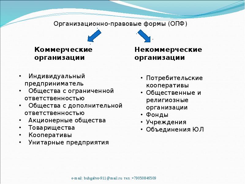 Организационно Правовая Форма Интернет Магазина