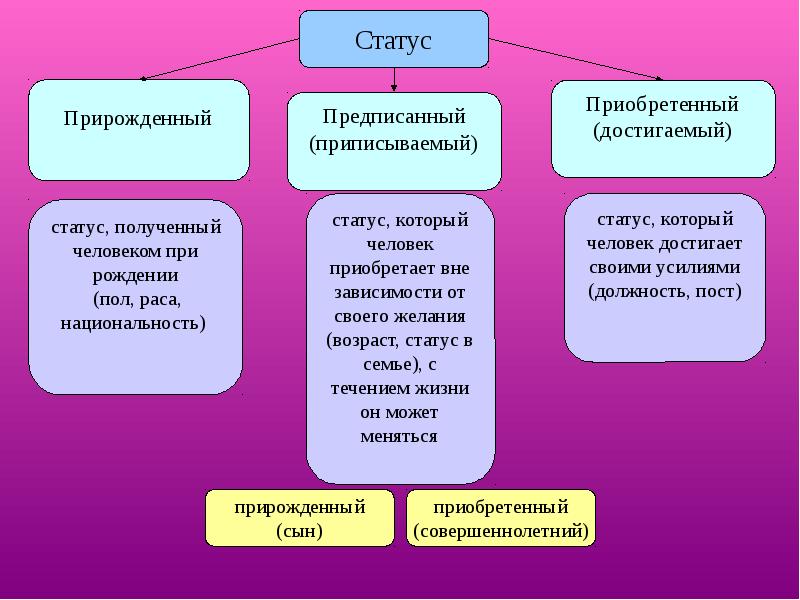 К социальному относится проект к социальному относится проект