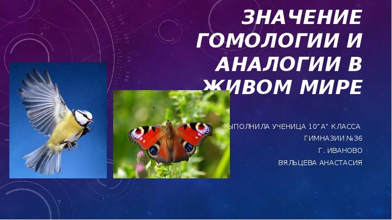 Значение гомологии и аналогии в живом мире
Выполнила ученица 10“А” класса Значение гомологии и аналогии в живом мире
Выполнила ученица 10“А” класса