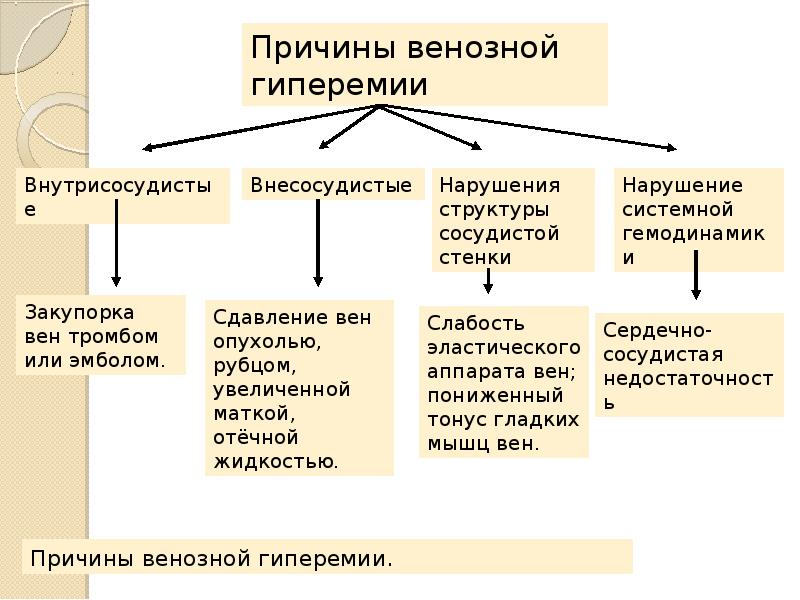 Признаки венозной гиперемии рисунок