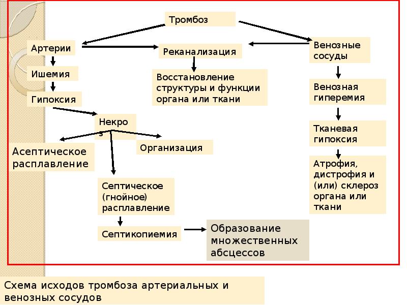 Схема нарушения периферического кровообращения