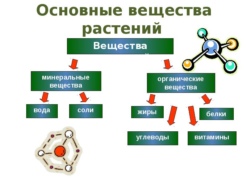 Вещества растений какие. Вещества растений это Минеральные вещества и органические. Минеральные вещества в жизни растений. Минеральное питание растений. Органические вещества растений.