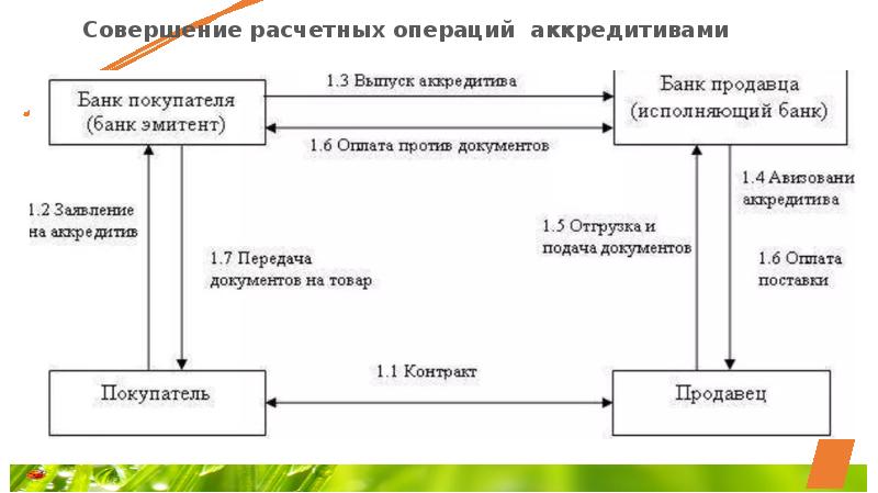 Первичный учет расчетных операций