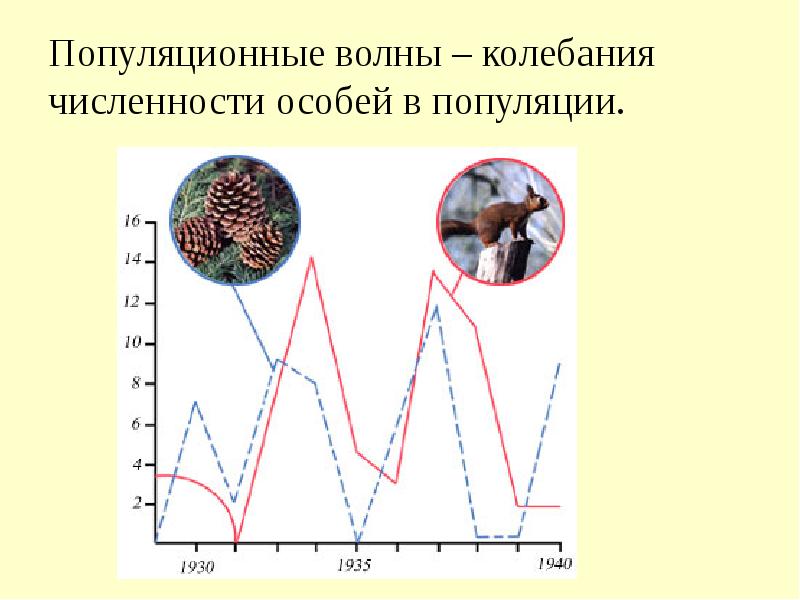 Колебания численности популяции презентация