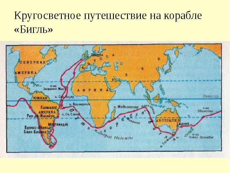 Путешествие дарвина на корабле бигль презентация