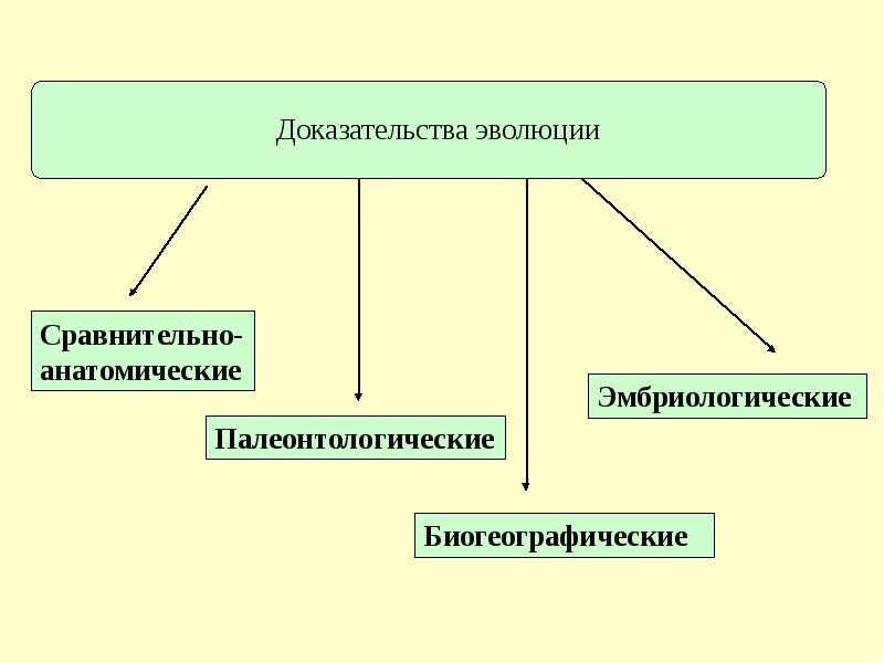 Доказательства эволюции животных 7 класс конспект