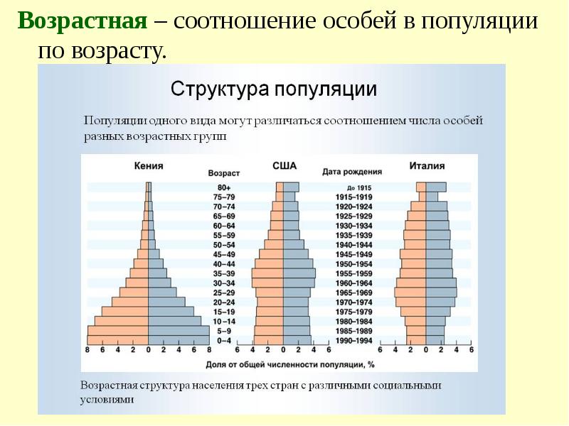 Возрастная структура популяции схема