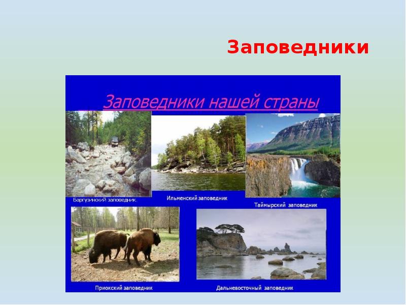 Рассортируйте функции которые выполняют заповедники и национальные. Рассортируйте функции которые выполняют заповедники и национальные