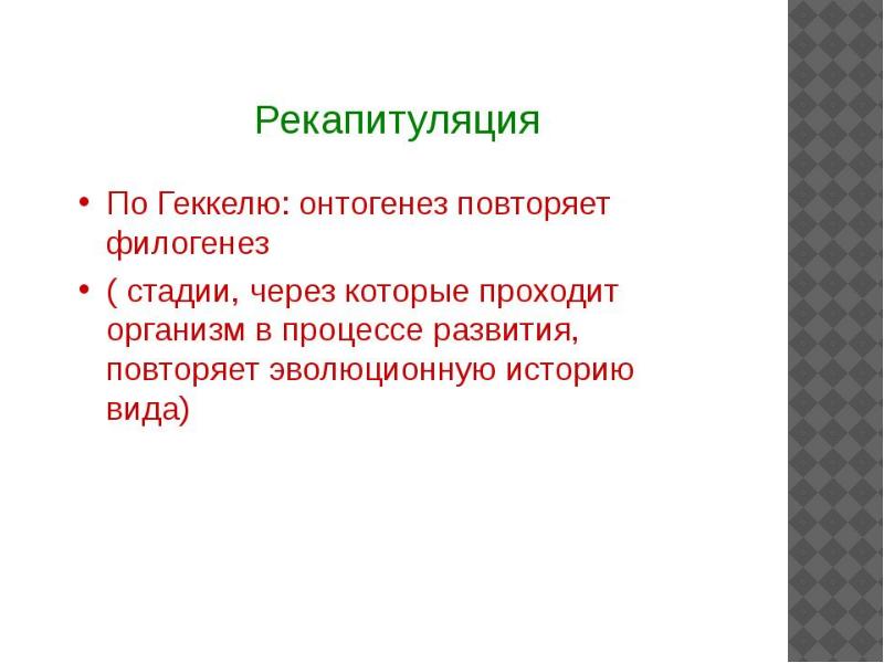 Доклад и презентация отличие