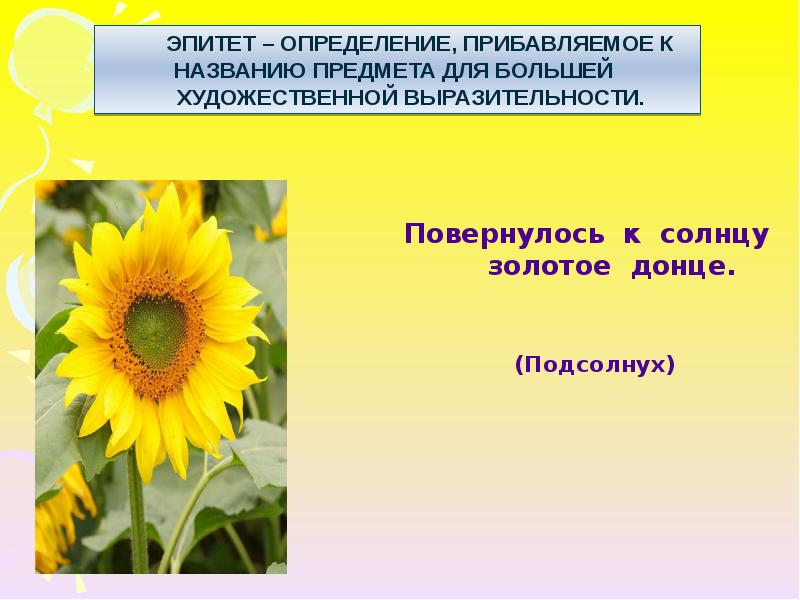 Солнце эпитеты. Загадка про подсолнух для детей. Загадка про подсолнух. Повернулась к солнцу золотое Донце. Загадки с ответом подсолнух для детей.