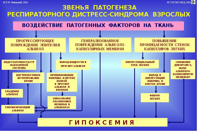 Патофизиология внешнего дыхания презентация