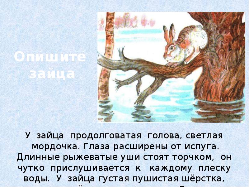 Комаров наводнение сочинение описание 5 класс. Комаров наводнение описание зайца. А Н комаров наводнение картина. Главный герой картины художника а Комарова наводнение заяц. Сочинение по картине Комарова наводнение.